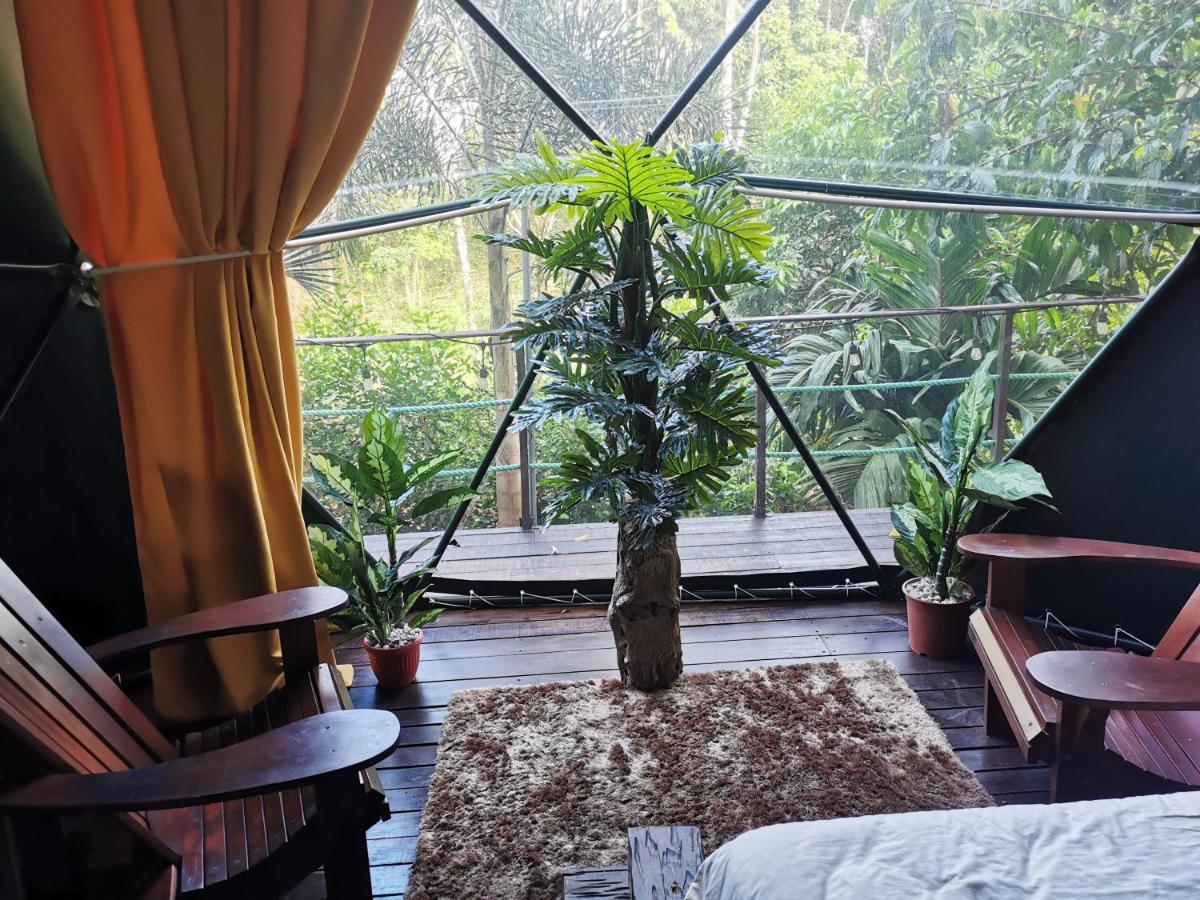 Отель Momotus Glamping Florencia Экстерьер фото