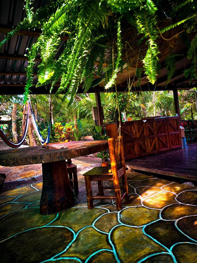 Отель Momotus Glamping Florencia Экстерьер фото