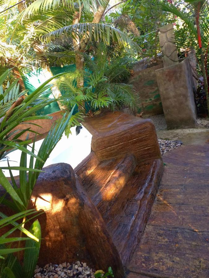 Отель Momotus Glamping Florencia Экстерьер фото