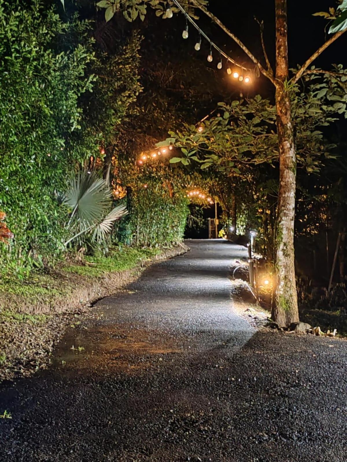Отель Momotus Glamping Florencia Экстерьер фото